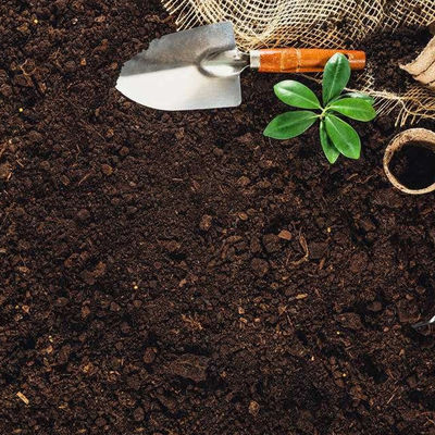 Affare agricolo di prova di laboratorio del suolo da vendere servizio di autenticazione di terzi di certificazione globale