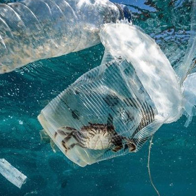 Servizio di autenticazione di terzi di autorità biologica di contaminazione di istruzione del laboratorio di prova dell'UL dell'acqua e del suolo