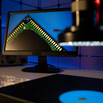 Servizio di autenticazione di terzi dello spazzolino da denti di Mark Intertek Test Laboratories Electric del Ce