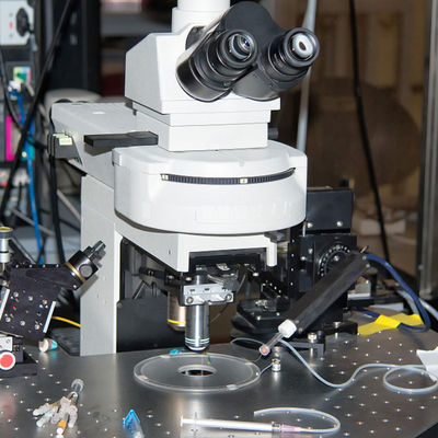 Toy Testing Lab Accreditation Cpsia elettrico ha accreditato il servizio di autenticazione di terzi dei laboratori