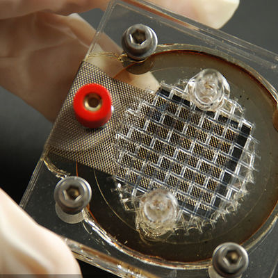 Servizio di autenticazione di terzi della macchina del popcorn di compatibilità elettromagnetica del laboratorio di certificazione del CE del FCC della DAINA