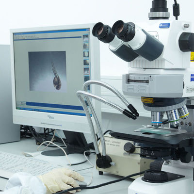 La certificazione del laboratorio del CE di iso assiste il servizio di autenticazione di terzi del rasoio elettrico di GTS