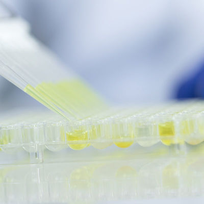 La FDA di servizi di laboratori di prova di vetro dell'alimento ha accreditato il servizio di autenticazione di terzi dei laboratori